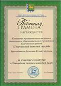 Почетная грамота "Новогодняя сказка в каждый двор".